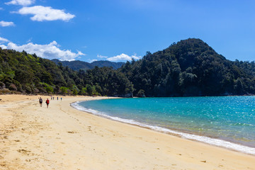 beach at Abel Tasman national park, New Zealand
