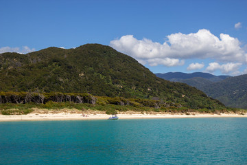 Fototapeta na wymiar beach at Abel tasman national park, New Zealand