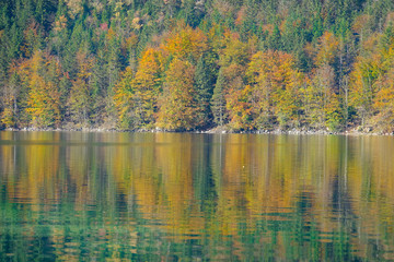 Naklejka na ściany i meble Beautiful shot of forest covered hill reflected in surface of a tranquil lake.
