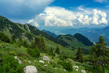 Fototapeta na wymiar green tyrol alm alps nature landscape in Austria at summer