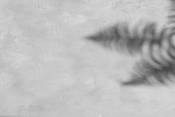 Fern leaves shadows on grey concrete wall background. Fern leaf shadow on cement textured wall