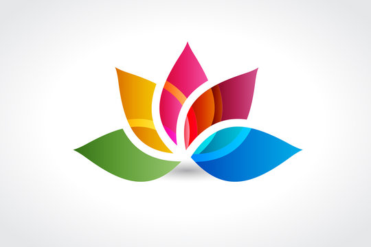 Logo colorful lotus flower logotype vector image web design template
