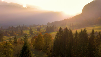 DRONE: Golden morning sunshine illuminates the spectacular autumn colored nature