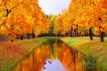 Alexander park in autumn, Pushkin (Tsarskoe Selo), St. Petersburg, Russia