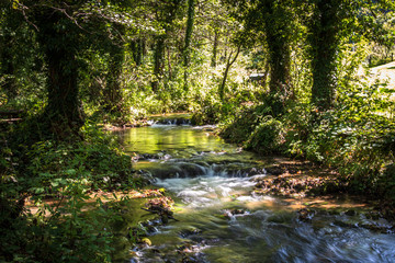River and forest on Janjske otoke near the Sipovo, Bosnia and Herzegovina