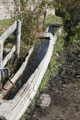 Viehtränke auf der Alm