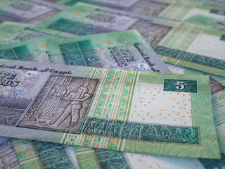 Egyptian pounds. Money of Egypt banknotes, financial background. EGP. Closeup shot