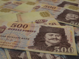 Hungarian forint. Money of Hungary, financial background. HUF. Macro shot