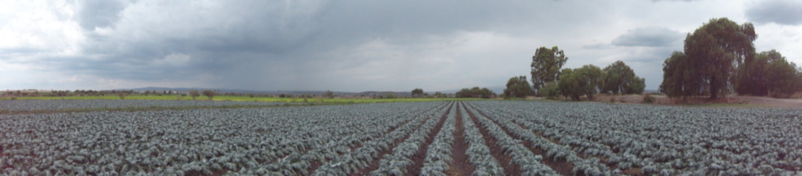 C&uacute;mulo colosal