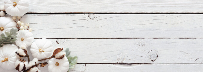 Autumn corner border banner of white pumpkins and silver leaves over a rustic white wood background. Top view with copy space.