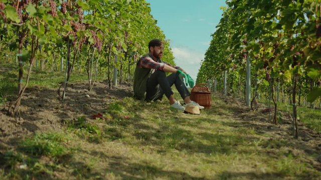 Young man wine worker sitting on grass in despair thinking of life feeling sick of stressful hard work at vineyard. Portrait of disappointed employee.