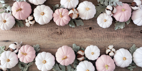 Autumn double border of dusty rose and white pumpkins with silver leaves and cotton flowers. Overhead view on a light wood background with copy space.