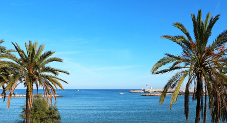 Fototapeta na wymiar French Riviera - Menton - Palm trees and mediterranean sea