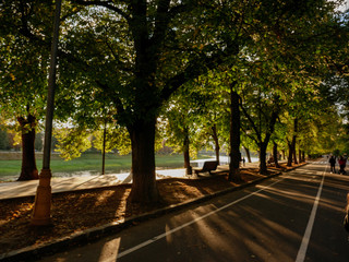 Autumn walkway city bike path