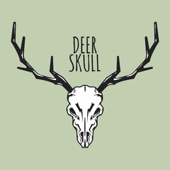 Deer Skull Vector for logo and mascot template