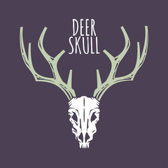 Fototapeta na wymiar Deer Skull Vector for logo and mascot template