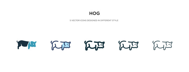 hog icon in different style vector illustration. two colored and black hog vector icons designed in filled, outline, line and stroke style can be used for web, mobile, ui