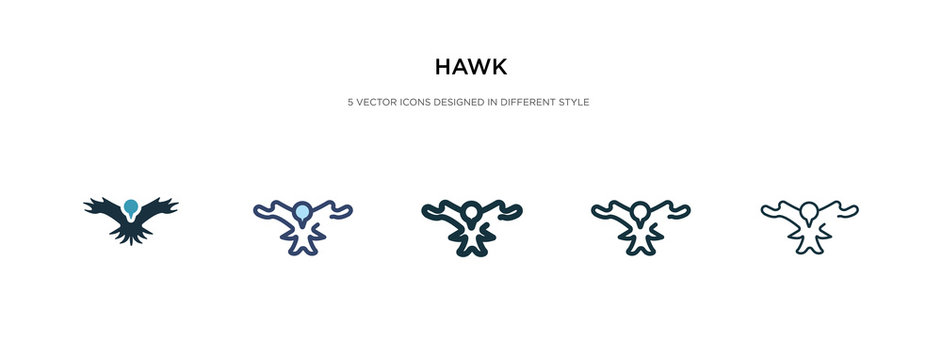 hawk icon in different style vector illustration. two colored and black hawk vector icons designed in filled, outline, line and stroke style can be used for web, mobile, ui
