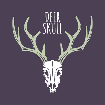 Deer Skull Vector for logo and mascot template © defarmerdesign