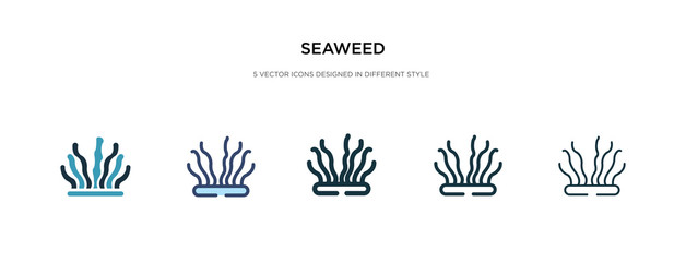 seaweed icon in different style vector illustration. two colored and black seaweed vector icons designed in filled, outline, line and stroke style can be used for web, mobile, ui