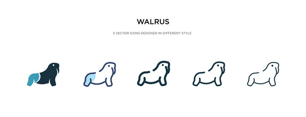 walrus icon in different style vector illustration. two colored and black walrus vector icons designed in filled, outline, line and stroke style can be used for web, mobile, ui