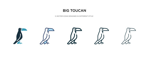 big toucan icon in different style vector illustration. two colored and black big toucan vector icons designed in filled, outline, line and stroke style can be used for web, mobile, ui