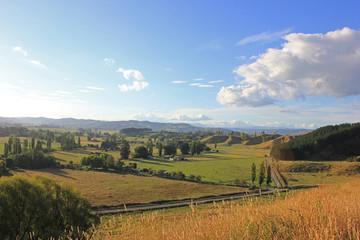 Steppe and plains in new zealand on a sunny afteroon