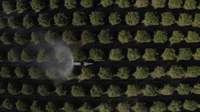 HLG, aerial drone flight over irrigation car in orange trees.