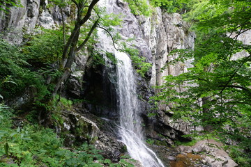 Fototapeta na wymiar Vitosha waterfall