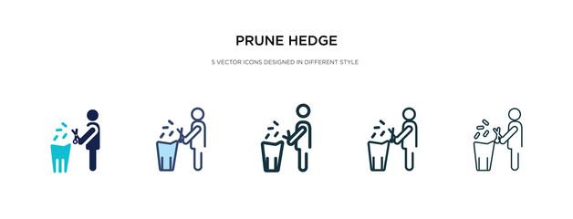 prune hedge icon in different style vector illustration. two colored and black prune hedge vector icons designed in filled, outline, line and stroke style can be used for web, mobile, ui