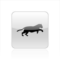 Tiger icon vector design. Wildlife icons