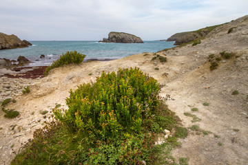 Fototapeta na wymiar Playa de la Arnía - Playa Del Portio, Liencres, Cantabria, Spagna