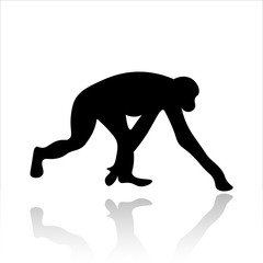 Monkey icon vector design. Wildlife icons