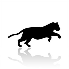 Tiger icon vector design. Wildlife icons