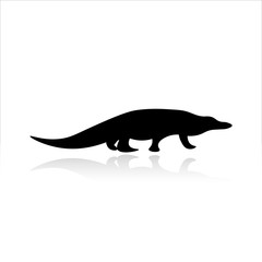 Crocodile icon vector design. Reptiles icons