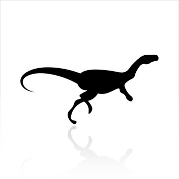 Dinosaur icon vector design. Reptiles icons
