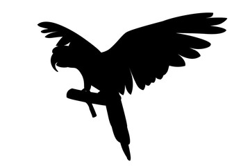 Black silhouette adult parrot of red-and-green macaw Ara sitting on a branch and flapping wings(Ara chloropterus) cartoon bird design flat vector illustration isolated on white background