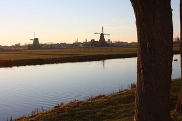 Naklejka premium romantic sunset in red and yellow colors. the plain of the rural countryside of zaanse schans with its typical Dutch mills