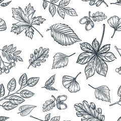 Autumn black white outline leaves seamless pattern. Vector hand drawn sketch illustration. Fall background design