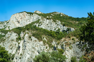 White rocks mountains with green trees under blue sky