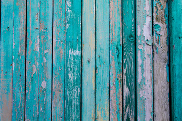 Old fence with vertical boards of turquoise color. Old paint on the fence discolored in places.