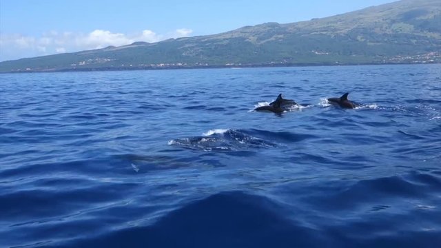 Pico and Faial island, Azores.