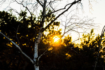 view from the Capska Palice in the Czech Republic