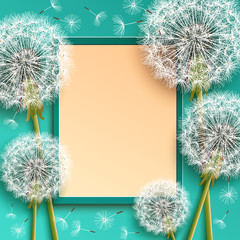 Background with frame and dandelions