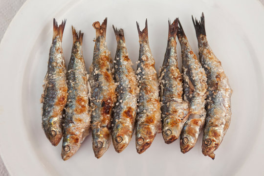 Sardines on a plate