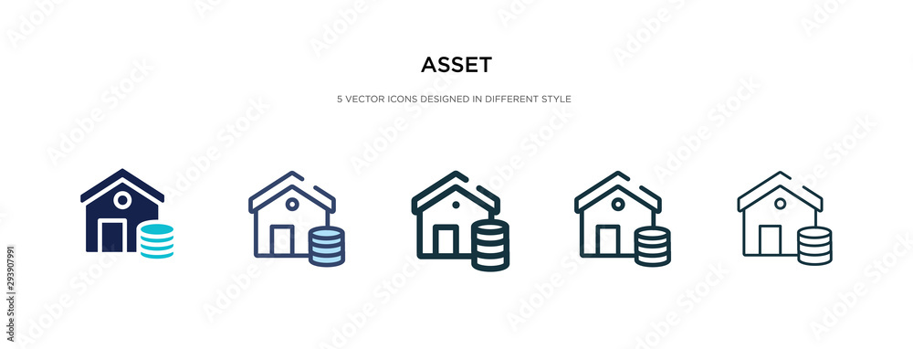 Wall mural asset icon in different style vector illustration. two colored and black asset vector icons designed