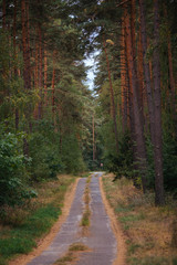 Waldweg 3