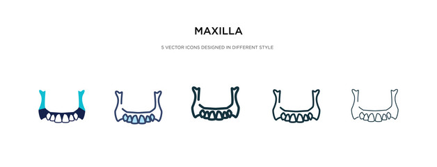 maxilla icon in different style vector illustration. two colored and black maxilla vector icons designed in filled, outline, line and stroke style can be used for web, mobile, ui © zaurrahimov