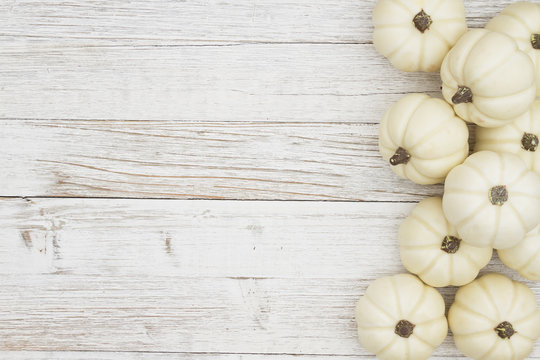 Fall side border of white pumpkins and brown autumn decor Overhead view on  a white wood background with copy space Stock Photo  Alamy