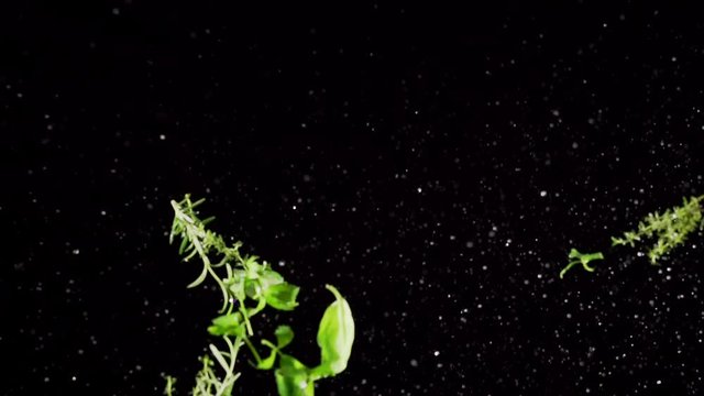 Herb Spice  collide on black background closeup in super slow motion